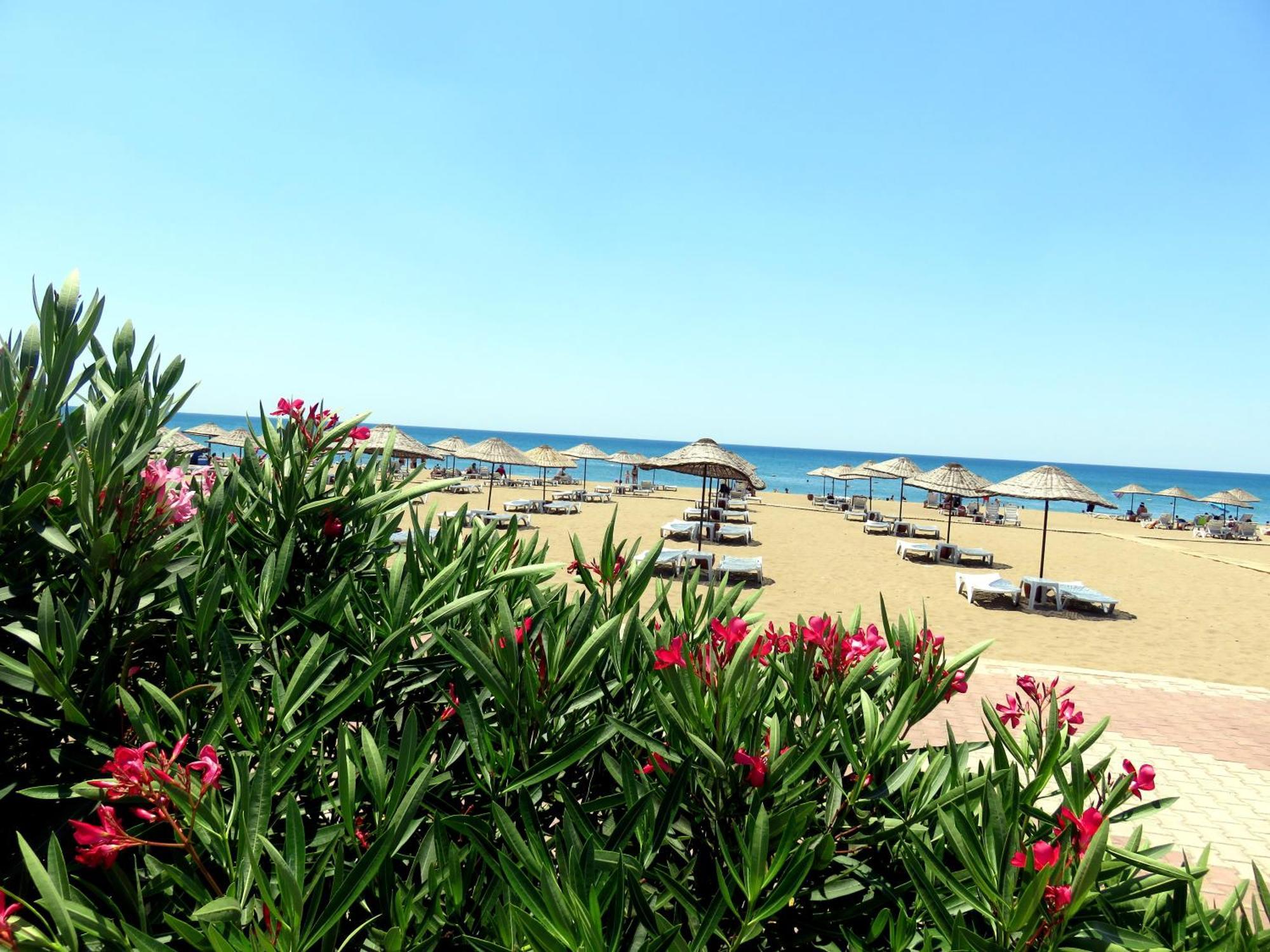 Talya Turizm Tatilevleri Ve Villalari Belek Extérieur photo